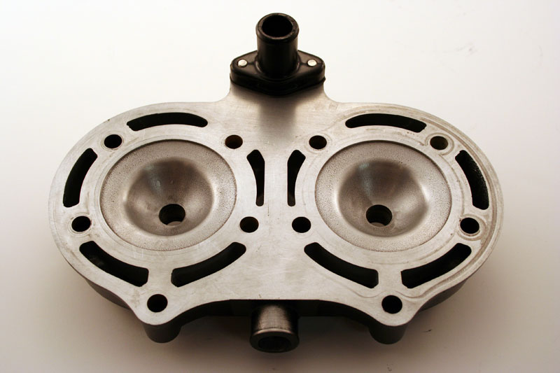 HEAD2.jpg